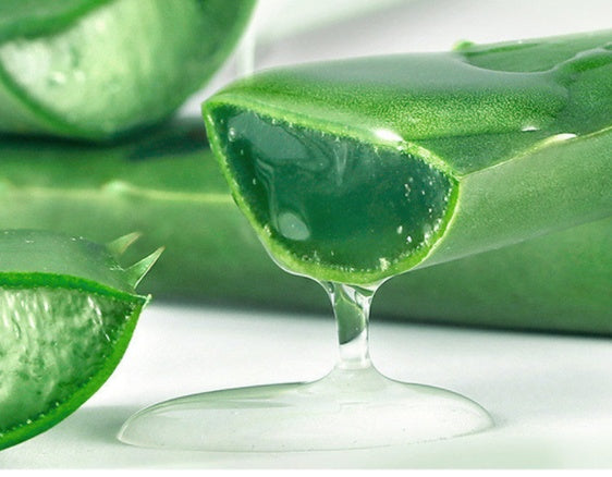 Aloe Vera Gel Facial Moisturizer