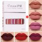 Matte Waterproof Lipstick Set